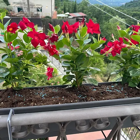 La Ca Dal Sol Tuscany Jacuzzi-piscina 빌라 *